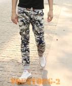 ����� ����������� ���.010